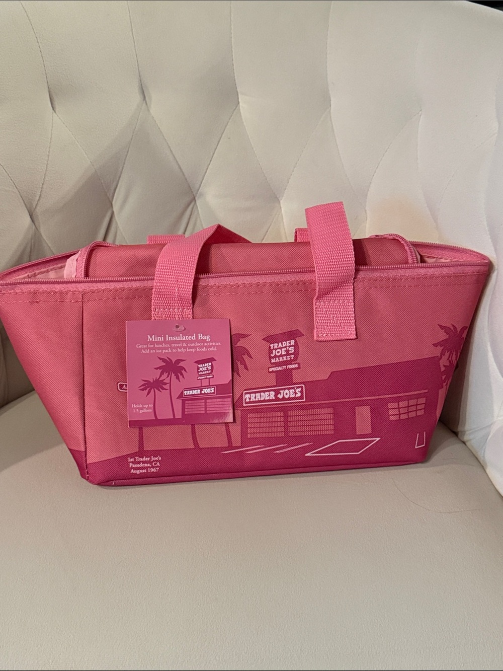 Trader Joe's Pink Mini Insulated Lunch Bag